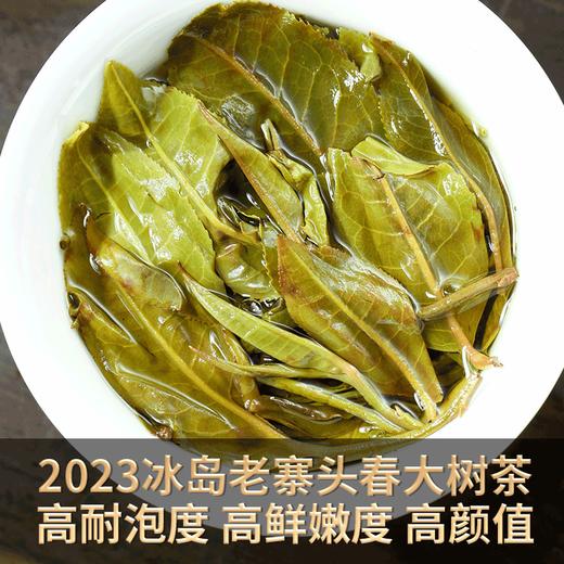 2023春茶 吉顺号冰岛甜茶饼普洱茶生茶叶七子饼357克/饼 商品图4