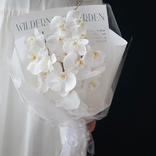 《蝴蝶飞飞》 高级感白色蝴蝶兰花束 商品图0