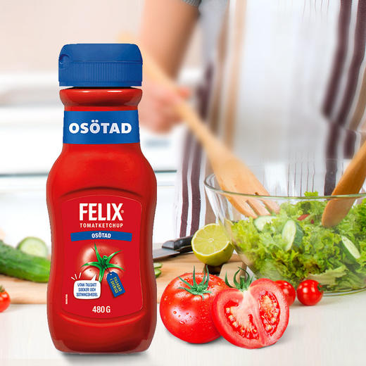 菲力斯0蔗糖番茄沙司原味480g 商品图1