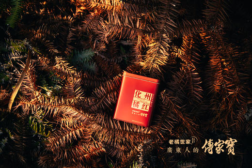 老橘世家 2005年切片橘红 B款 150克罐装 商品图1