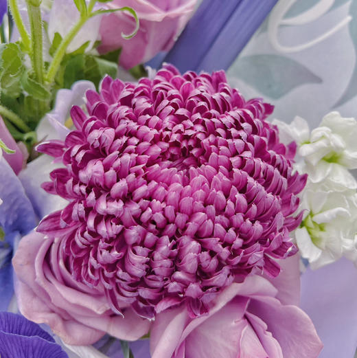 《草长莺飞》混搭花束 商品图11