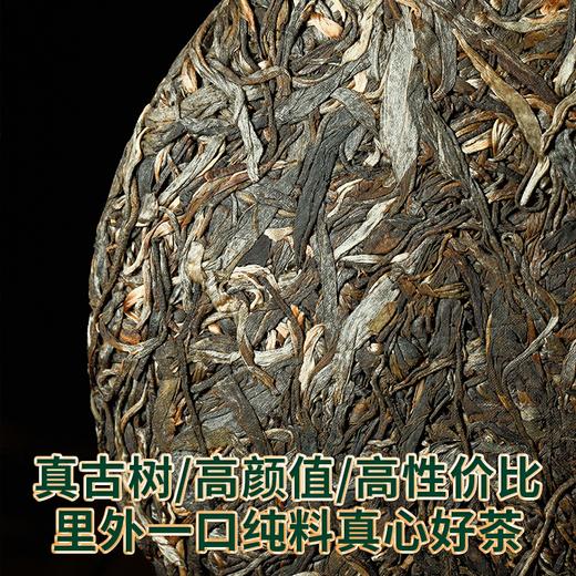 2023春茶 吉顺号2023头春茶古600滑竹梁子普洱生茶357g 商品图2