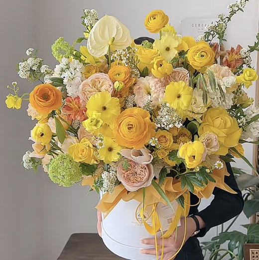 《芳菲》春日暖阳抱抱桶 商品图2