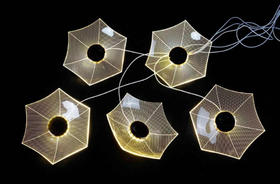 5头拉丝小伞灯串（运费自理）