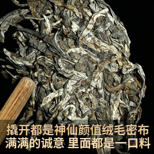 2023春茶 吉顺号冰岛甜茶饼普洱茶生茶叶七子饼357克/饼 商品图2