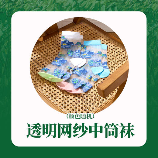 【38女王节六等奖】网纱中筒袜S22CPS037 （随38活动订单发） 商品图0