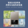 【万人空巷】【海尔JSQ31-16FD5BDU1】海尔（Haier）燃气热水器16升家用恒温下置风机密闭稳燃舱智能防冻节能速热富氧蓝焰WIFI智控天然气热水器FD5 商品缩略图6