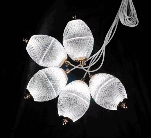 5头M-20灯串（运费自理） 商品图0