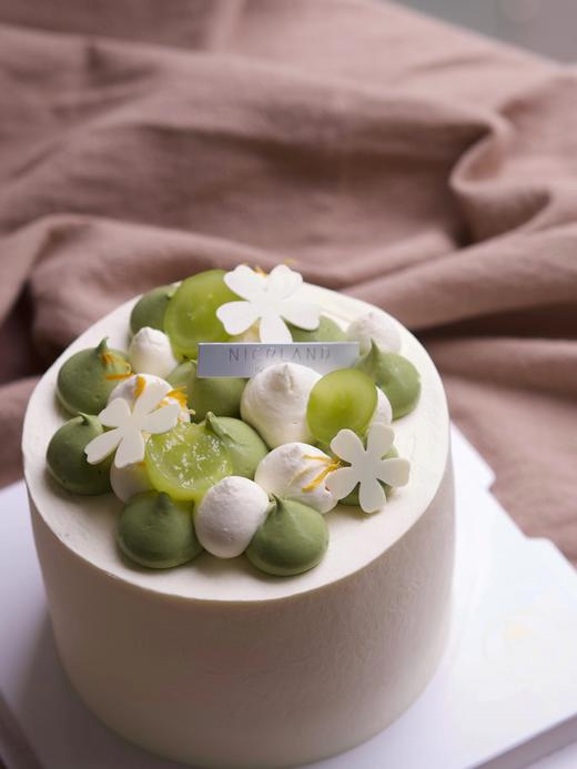 奇异茉莉 商品图1