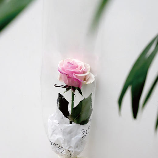 女神节快乐 商品图0