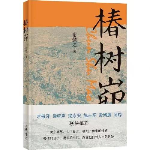 椿树峁 商品图0