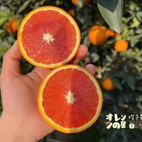 橙色星球 能量血橙
