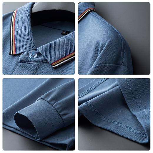 一口价【新款DK】大依优型大码刺绣长袖Polo衫商务休闲绅士免烫翻领T恤胖子宽松男 商品图2