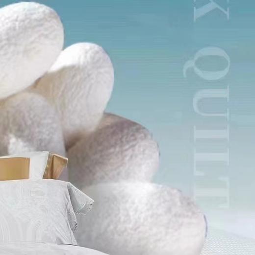 【6F】富安娜甄选桑蚕丝春秋被，吊牌价5380，店庆爆品价899 商品图2