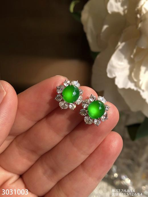 老坑玻璃帝王绿黄阳蛋面耳钉【3031003】具体价格微信咨询 商品图6