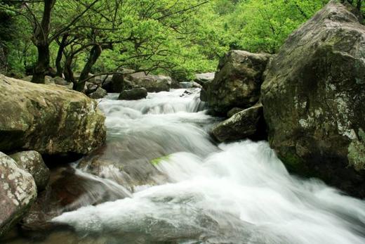 百杖潭景区门票2张 商品图1