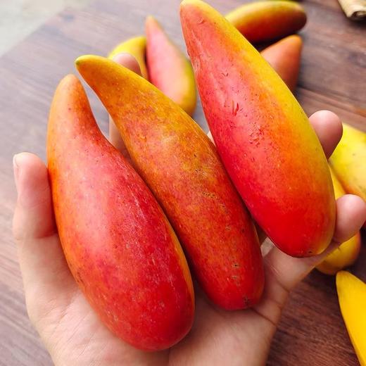 辣椒芒（礼盒） 商品图4