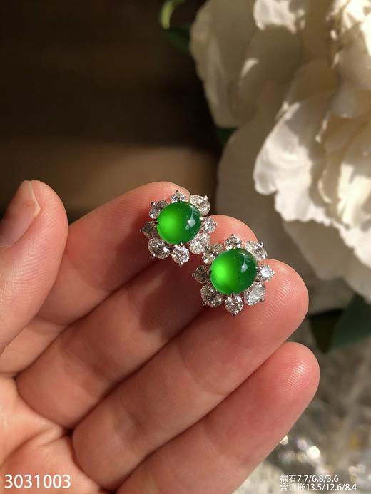 老坑玻璃帝王绿黄阳蛋面耳钉【3031003】具体价格微信咨询 商品图2