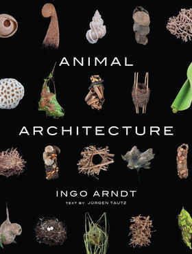 动物建筑 Ingo Arndt 动物栖息行为探索摄影集 英文原版 Animal Architecture