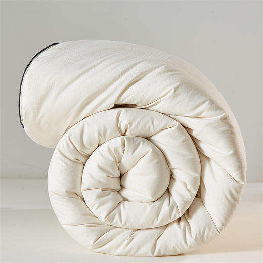 A类提花大豆纤维被，纯色秋冬被芯加厚保暖棉被肤软被子NTSY-003 商品图0