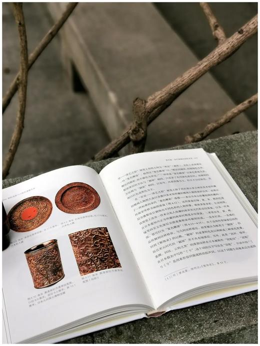《剔彩流变：宋代漆器艺术》，精装，32开，何振武著，浙江古籍出版社2022年版，248页，定价78，售价62.4元 商品图4
