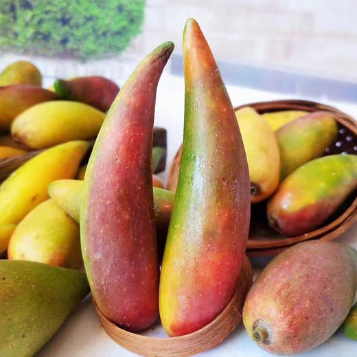 辣椒芒（礼盒） 商品图3