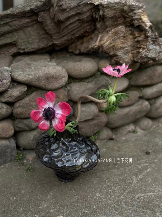 【花千骨.花瓶】1个/份 看似不规则的设计却恰到好处（山西仓发货） 商品图7