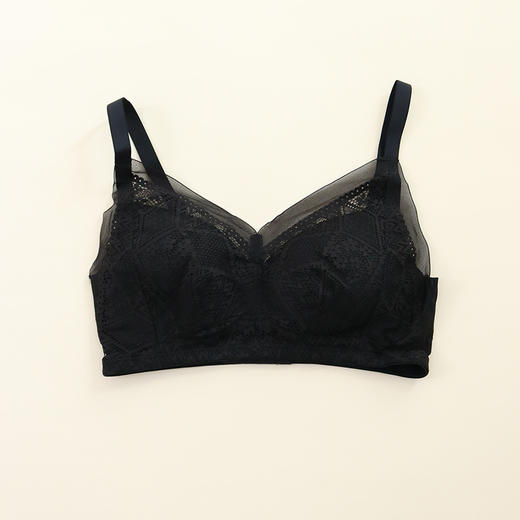 TG-TG02S181 真丝蕾丝性感大码文胸 无钢圈桑蚕丝薄款内衣胸罩大胸显小 商品图5