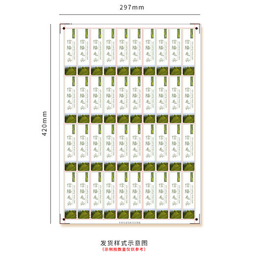 早春头采毛尖竖版茶标一张6元， 满300元河南省内包邮 商品图3