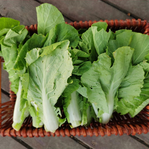 茭菜心（400g）-基地现摘现发 商品图4