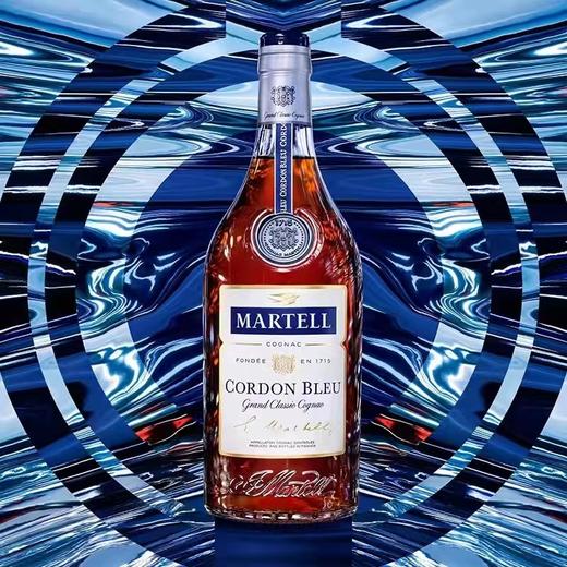 【2013年年份酒】马爹利 蓝带干邑白兰地 3000ml/瓶 商品图3