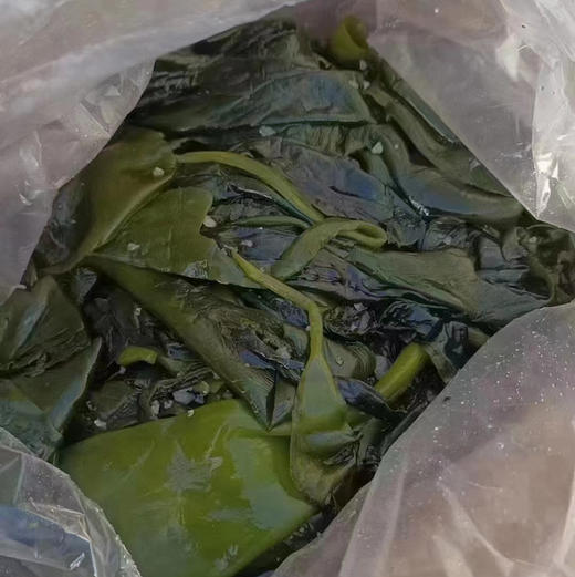 周三送，福利🧧今年头茬，新鲜海带苗，精选优质海带苗装箱，多吃也不用担心长肉肉哦，海带苗本身就是0⃣️脂肪，还可以大人小孩都补钙👍
🌈凉拌海带苗更是减肥佳品，🌈炖汤涮火锅更是一绝👍🏻3斤/箱 商品图3