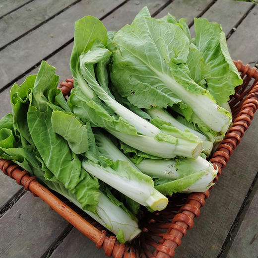 茭菜心（400g）-基地现摘现发 商品图2