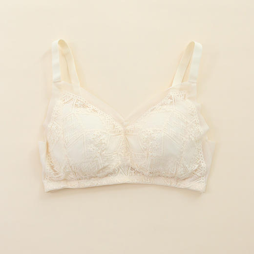 TG-TG02S181 真丝蕾丝性感大码文胸 无钢圈桑蚕丝薄款内衣胸罩大胸显小 商品图4
