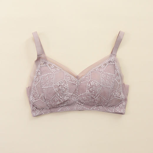 TG-TG02S181 真丝蕾丝性感大码文胸 无钢圈桑蚕丝薄款内衣胸罩大胸显小 商品图6