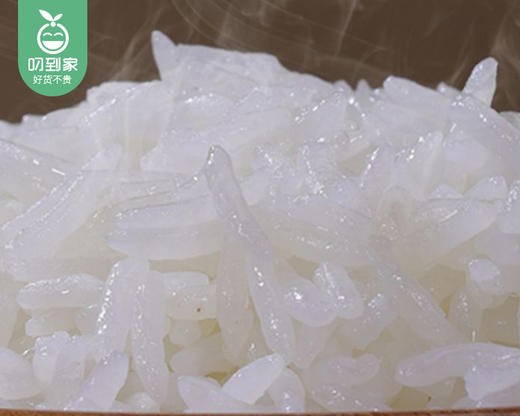 信孚纳万福玛卡拉茉莉香米/1袋（5kg）生产日期：25年12月补单专用 商品图4