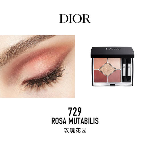 法国 Dior迪奥 惊艳五色眼影 商品图6