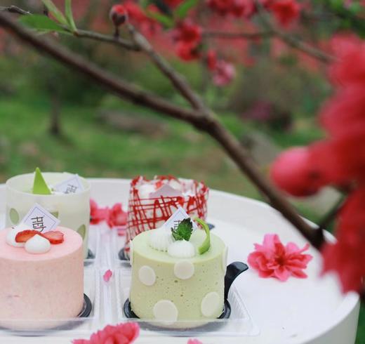 春日小组 Spring Quarters 商品图4