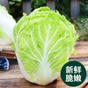 【超市】大白菜 商品缩略图1