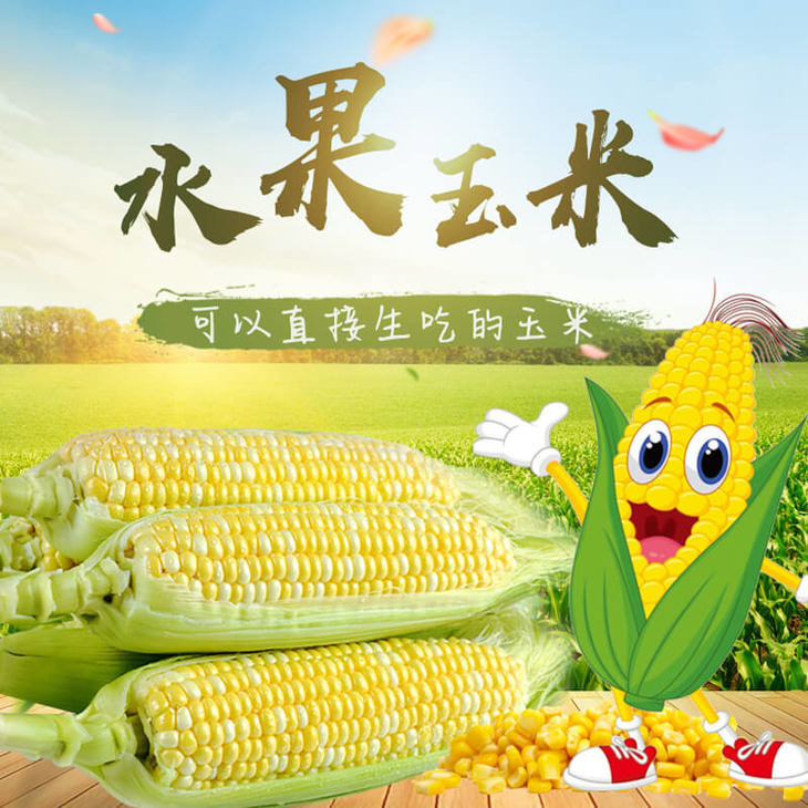 1608883033640533.jpg 2.jpg