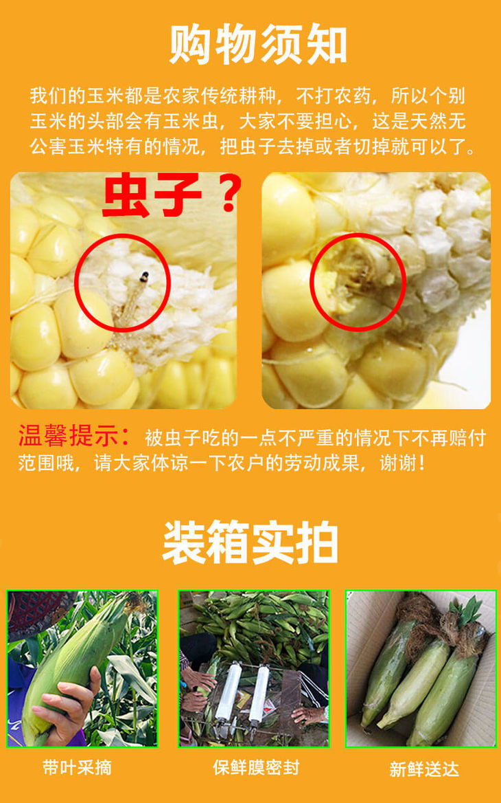 1608883232495921.jpg 水果甜玉米详情页_10.jpg