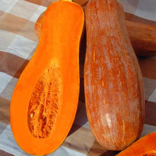 【超市】南瓜 商品图0