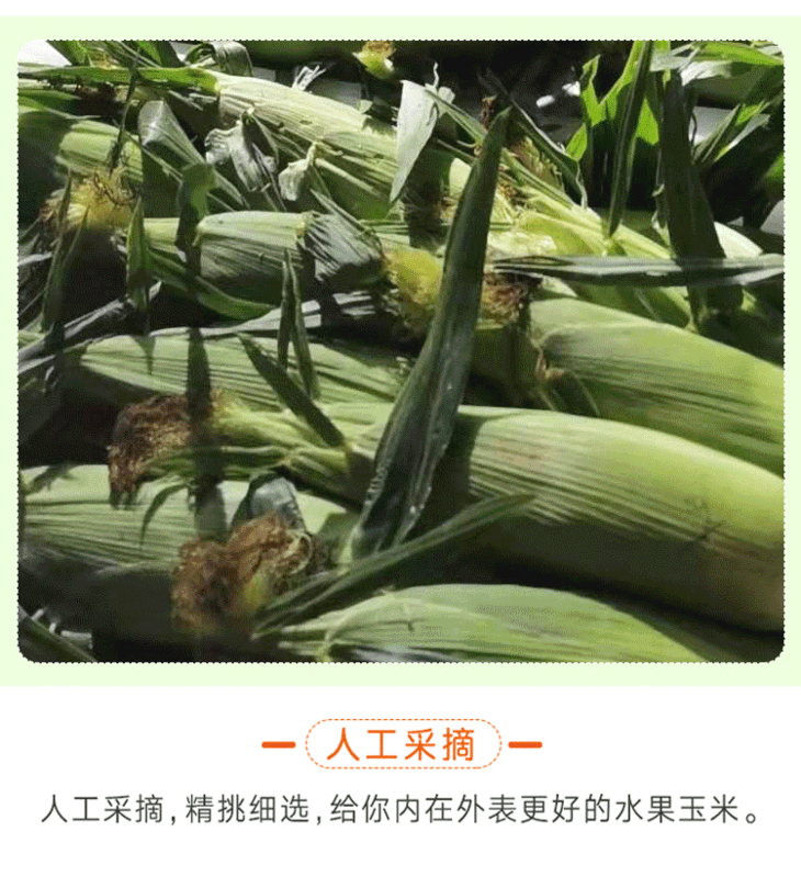 1608883100654569.png 详情(1)_08.png