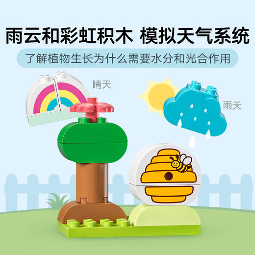 乐高积木10984 乐高得宝大颗粒系列有机菜园 商品图4