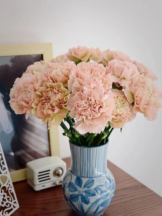 康乃馨【 时间是让人猝不及防的东西，偷走了青丝，留住你】简小姐精选 稀有康乃馨  2件包邮 下单48小时发货 商品图1