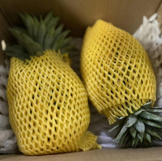 海南火焰山冬蜜凤梨顺丰快递包邮下单从三亚发货 商品图7