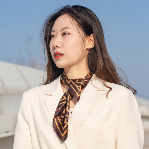 「2023新款桑蚕丝方巾」PSQUEEN 法式真丝方巾 经典复古系列 53*53cm 柔软亲肤 商品图7