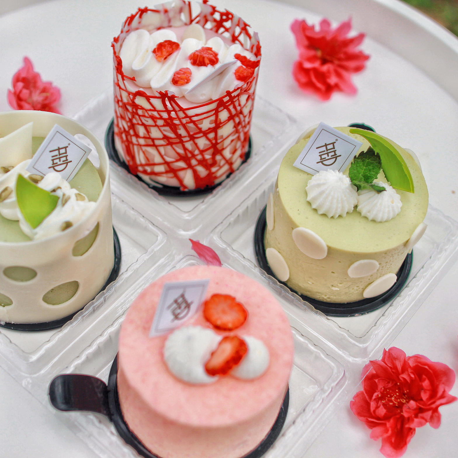 春日小组 Spring Quarters