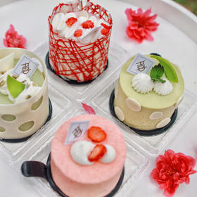 春日小组 Spring Quarters
