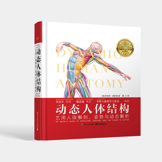 动态人体结构 艺用人体解剖 姿势与动态解析 艺术专业学生及绘画爱好者作为专业参考书 手部和头部的结构和表现特征 商品图0